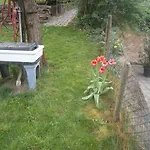 بيت ضيافة Schneiders Kröv