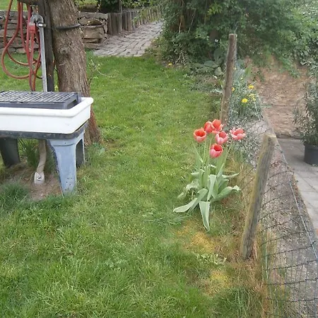 Pensjonat Schneiders Kröv