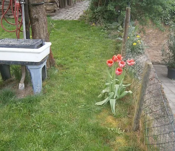 Pensionat Schneiders Kröv